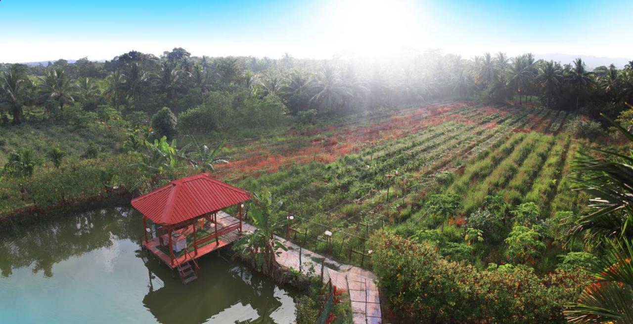 Parkresort - Organic Farm Resort Kala Pathar Beach Exterior photo
