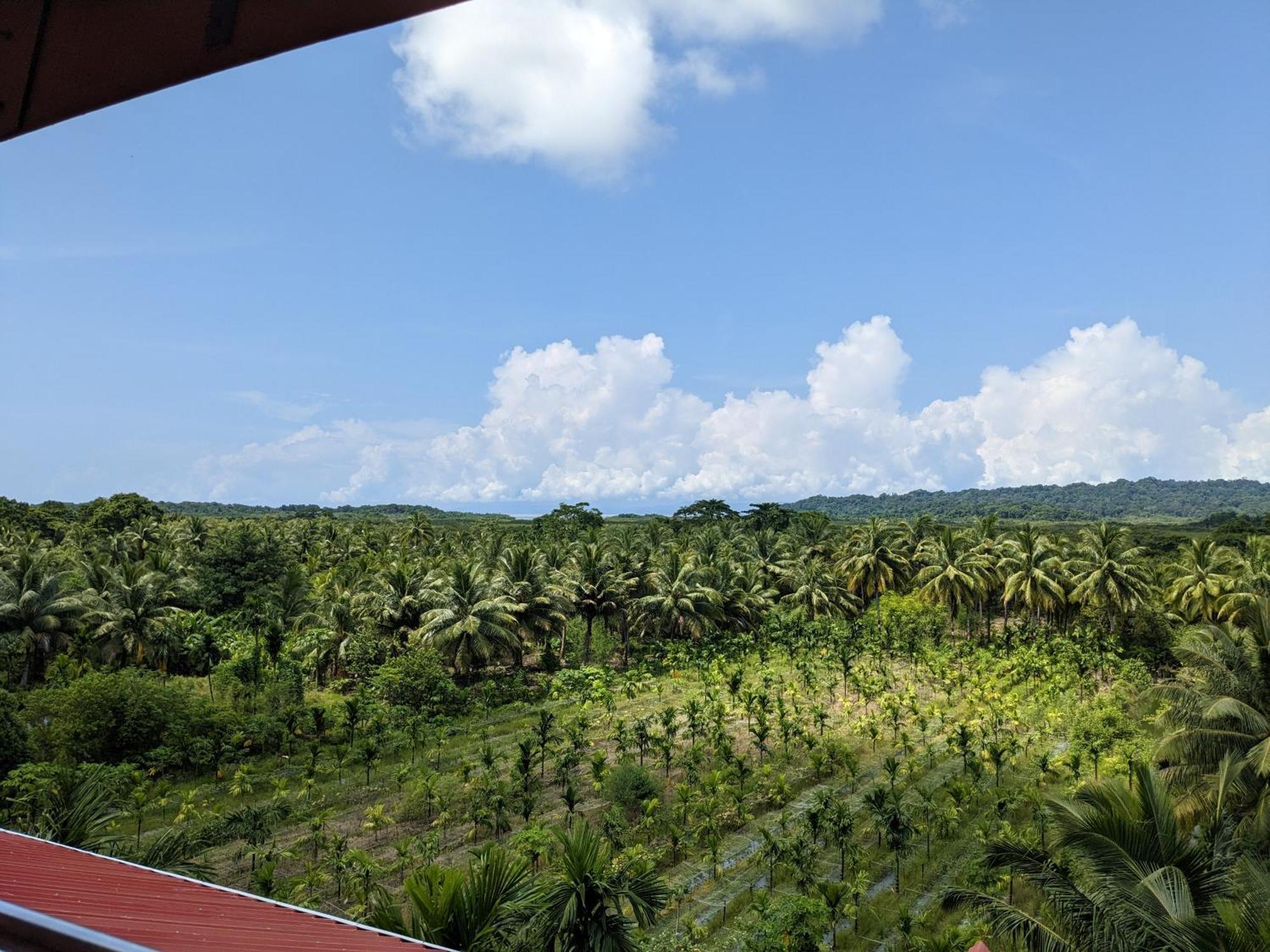 Parkresort - Organic Farm Resort Kala Pathar Beach Exterior photo